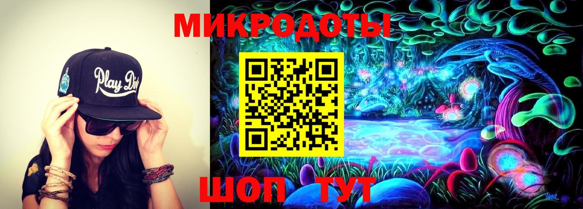 Дербент  Галлюциногенные грибы Cubensis  Вход с VPN 
