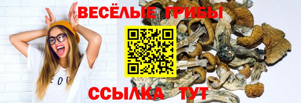 Псилоцибиновые грибы Magic Shrooms Дербент